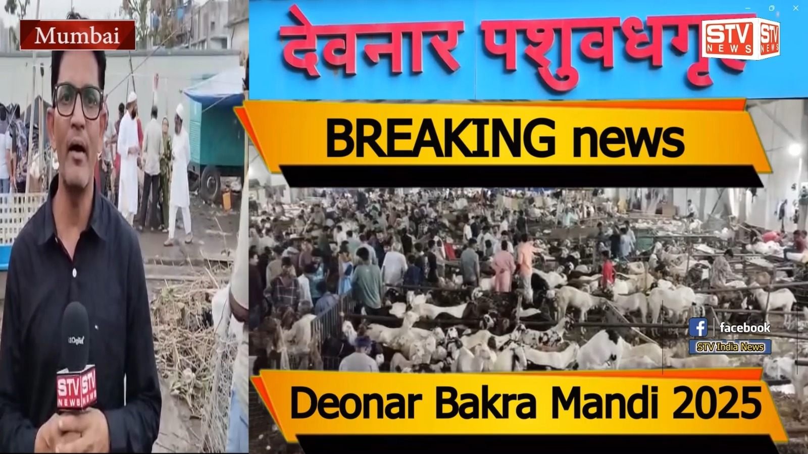STV News | Deonar Bakra Mandi 2025 बड़ी खबरें BREAKING news देवनार बकरा मंडी में स्वच्छता नजर नहीं आती