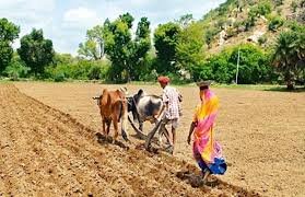 STV News | सुखदेवी ने दबंगों से खेत की मेड काटने को मना किया तो दबंगों ने हमला बोल दिया l...